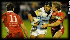 Agen Sale Sharks